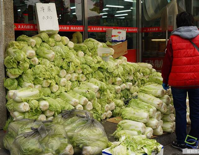 如何解决蔬菜滞销_蔬菜滞销_万吨蔬菜滞销