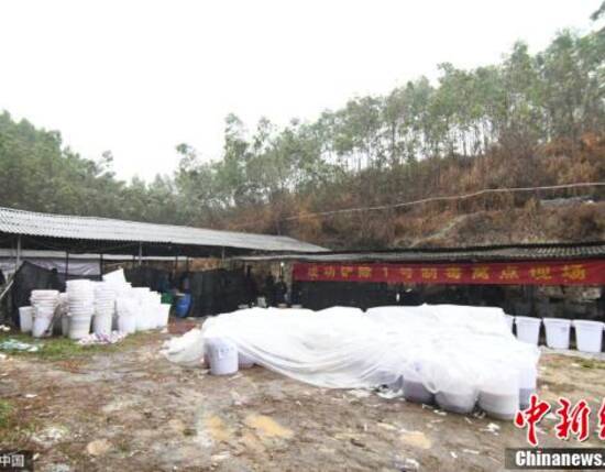 警方破获广西近年来最大宗生产制毒物品案