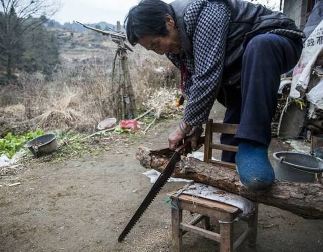 田淑珍在家门口锯劈柴,笨重的活都是她一个人干,没有帮手.