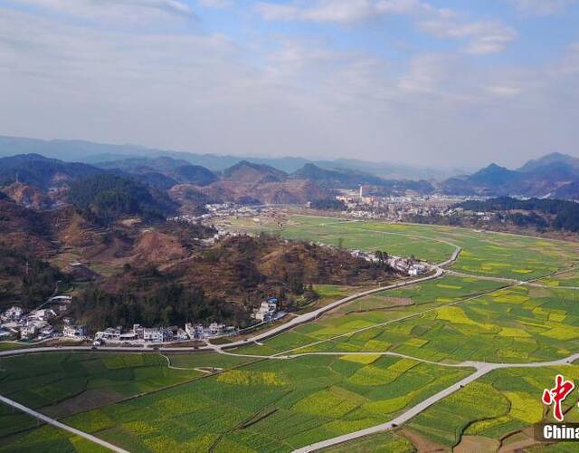 2月12日,贵州省贵定县音寨村外,油菜花竞相开放,从空中鸟瞰,阡陌田园