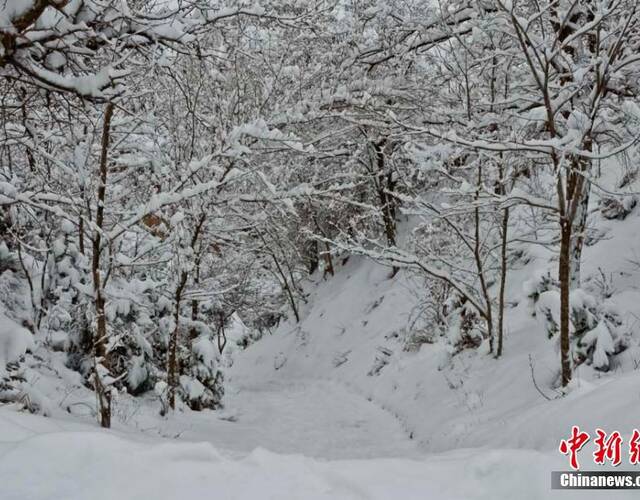 3月12日,甘肃渭源县出现明显雨雪天气,局部地方降雪量达到10毫米以上.