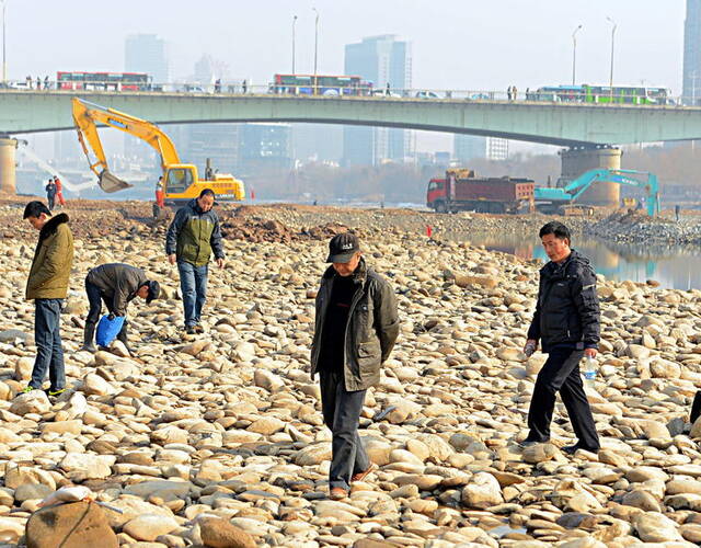 黄河兰州段"露底" 市民河心捡石头