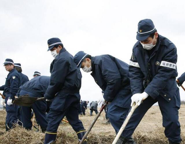 11日上午,日本福岛县警察集中搜索失踪者