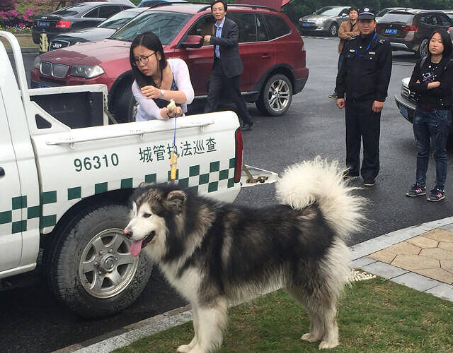 买卖阿拉斯加违法吗