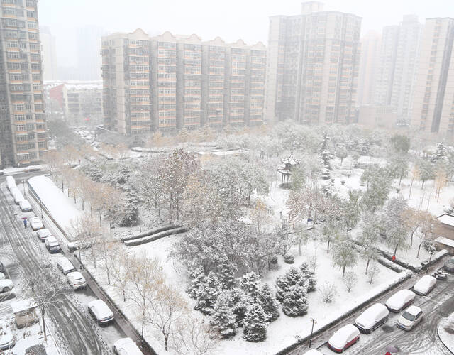 丰台一小区雪景.