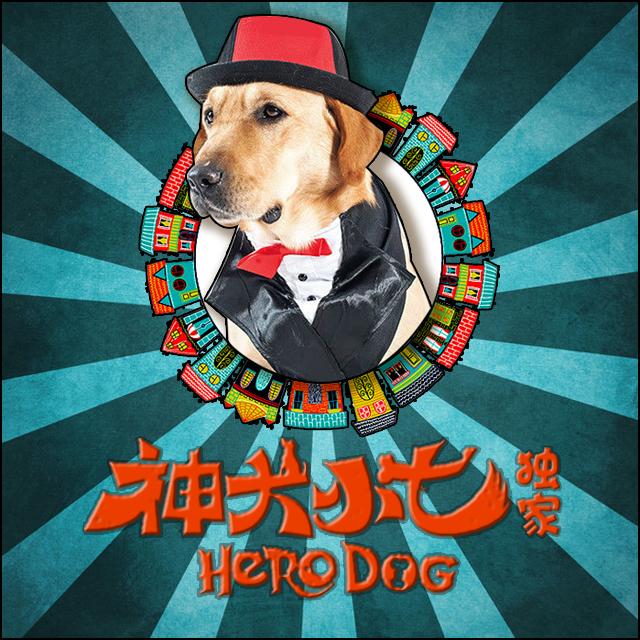 神犬小七