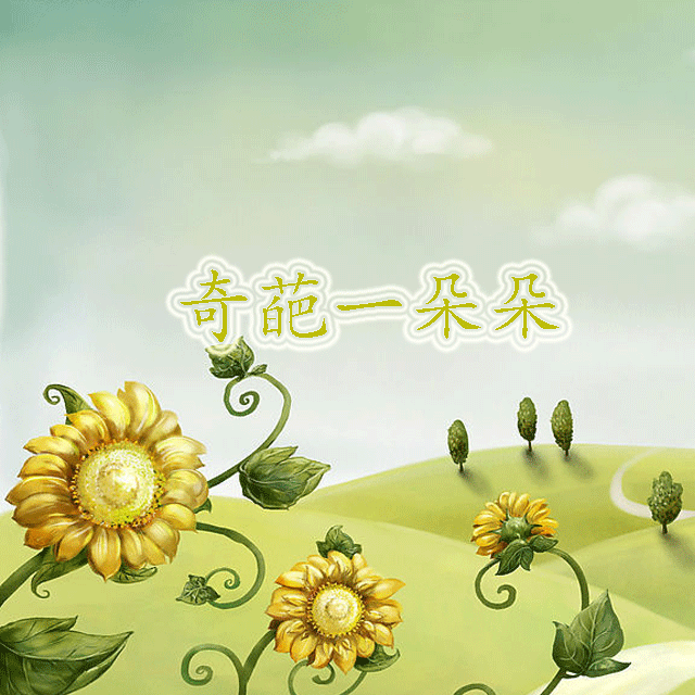 奇葩一朵朵