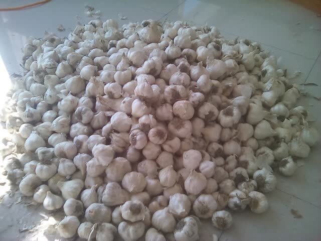 10大抗癌蔬菜水果,想拥有好身体,多为家人买点