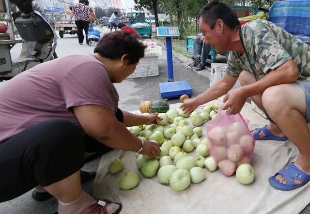 53岁农民大哥种85亩地在大集上卖羊角蜜,说起