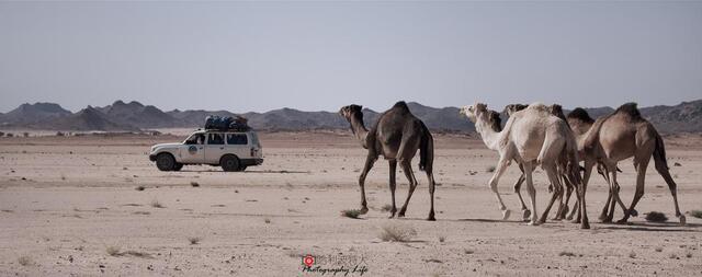 全球国土排名第十,非洲排名第一的北非强国,地