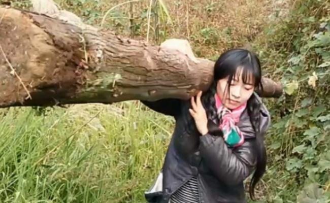 95后山村姑娘背砖劈柴扛大树走红