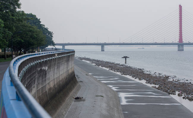 要不是记者发现 他可能已被潮水冲走