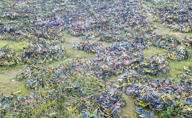 广州：共享单车被大自然“吞没”