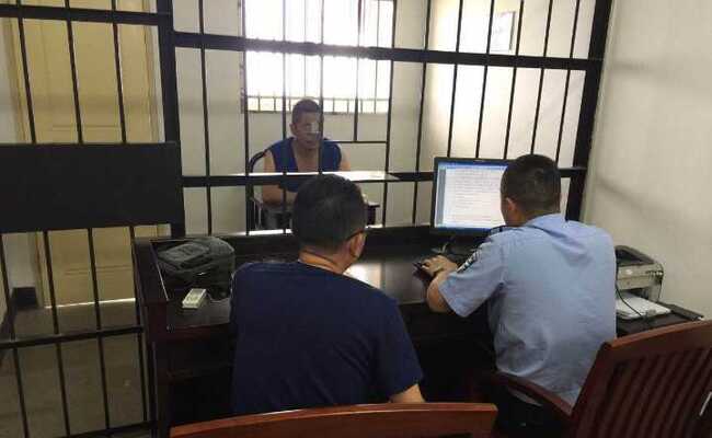 当选3个月的村主任，毁了50亩名贵树林