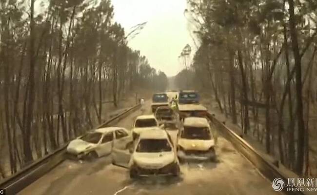 葡萄牙山火已致62人遇难 逃生者被困车内