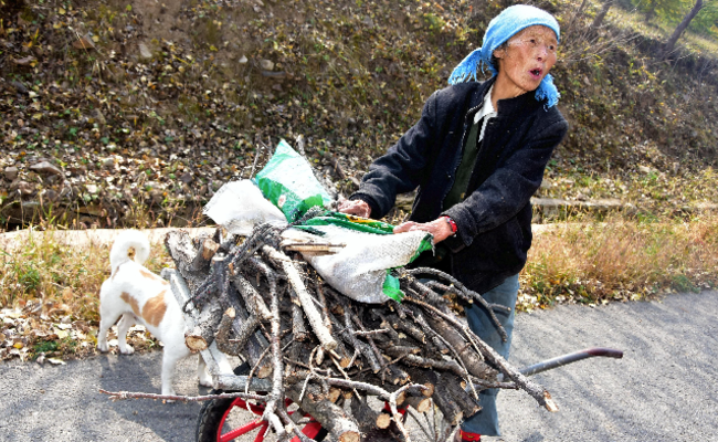 九旬奶奶上山砍柴采山货，自己挣钱买盐买菜