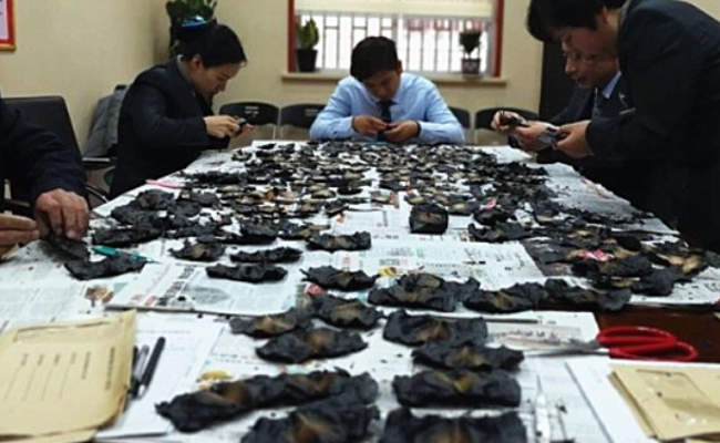 女子房子着火 8万医药费被烧成炭