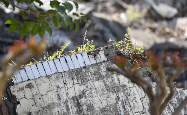 汶川地震10年 北川废墟上长出新生命