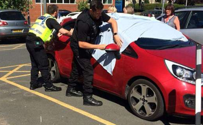 警察发现两只狗被关在车内之后