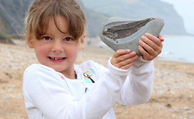 英国女孩海边玩耍 捡到1.9亿年前化石