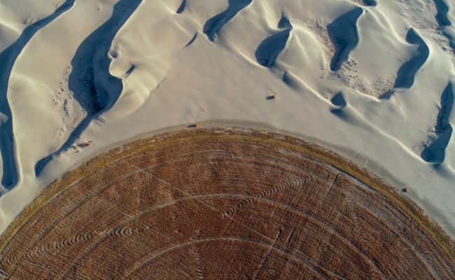 在塔克拉玛干沙漠治沙