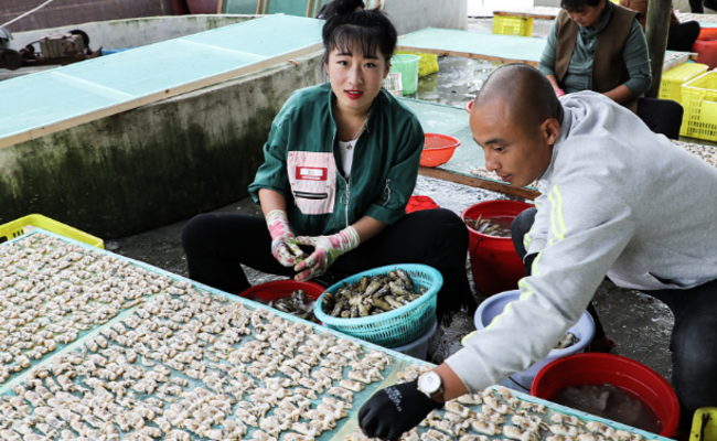 女子一天剥3万个蛏子赚400 称是捡钱