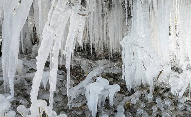 “断崖式”降温 北京公园现冰挂奇景