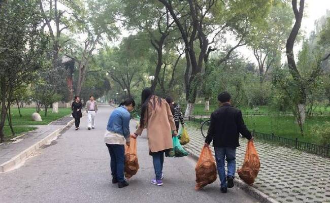 社会人士欲在北大未名湖放生500只巴西龟