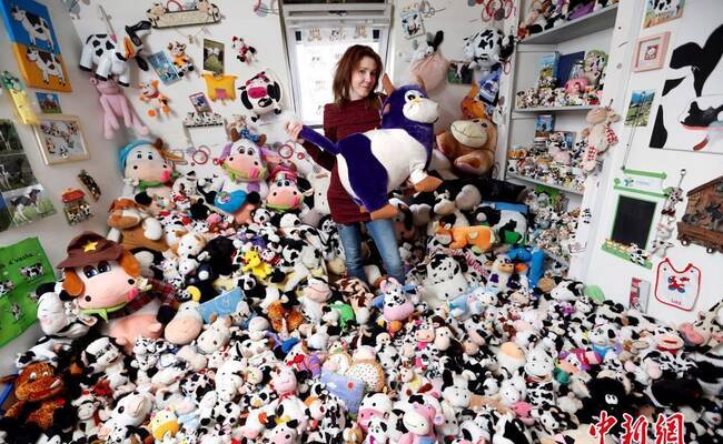 法国模特花7年收藏1679个奶牛玩偶