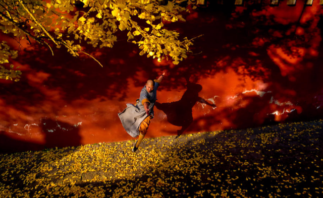 嵩山少林寺：千年古刹秋景醉人