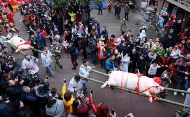 四川雅安年猪文化节：居民抬猪游行