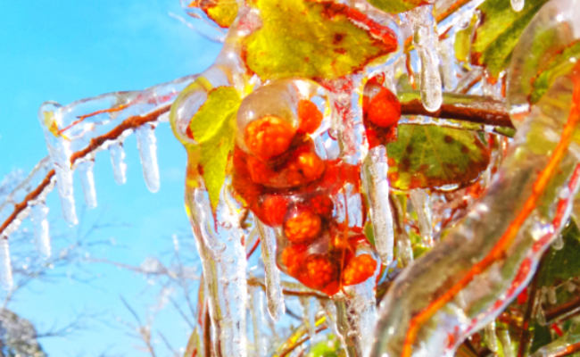 广东粤北山区银装素裹