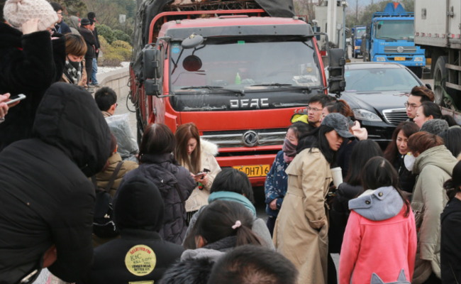 杭州志愿者拦车救狗：来源不明没检验
