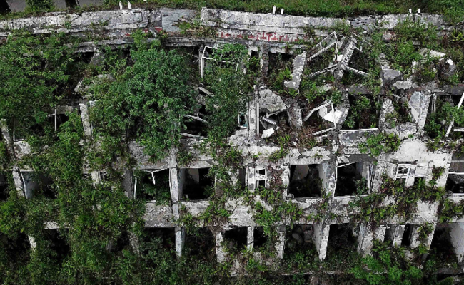 俯瞰汶川地震废墟：青藤已爬满残垣
