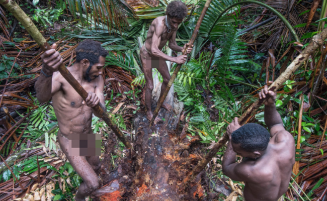 实拍印尼“食人族” 赤身裸体吃虫子 