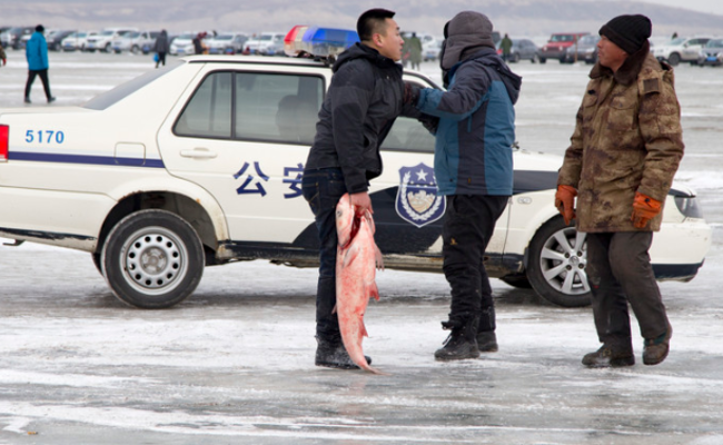 吉林:男子偷大鱼就跑 被警方制服