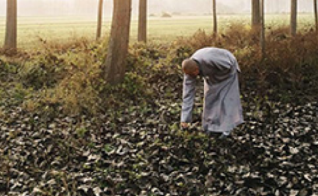 杀人犯潜逃16年 成寺庙住持