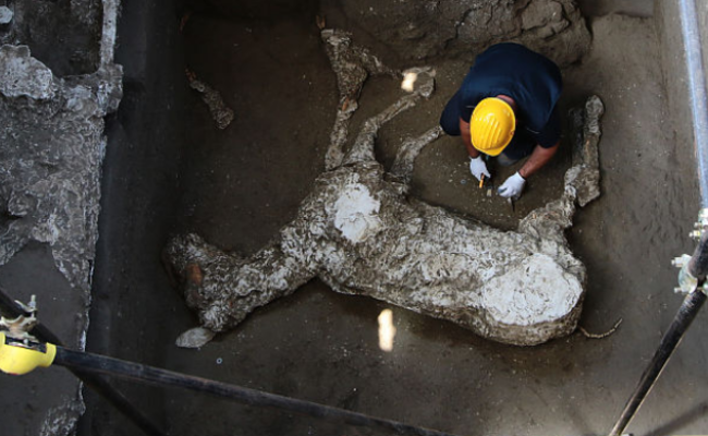这是一匹遭火山喷发活埋的马
