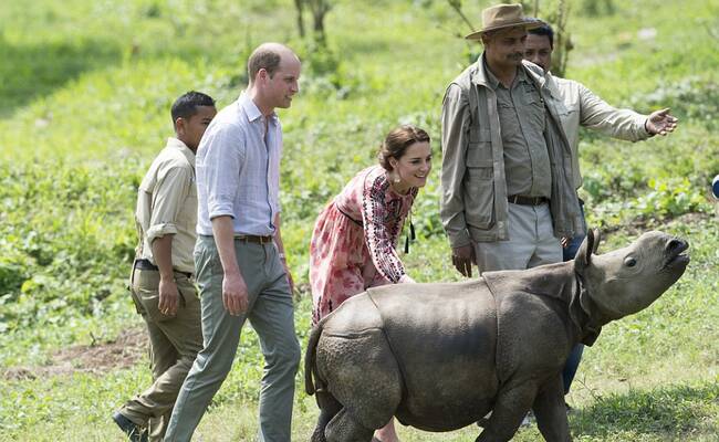 英国王子夫妇访印给大象、犀牛喂奶