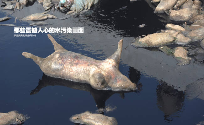 那些震撼人心的水污染画面