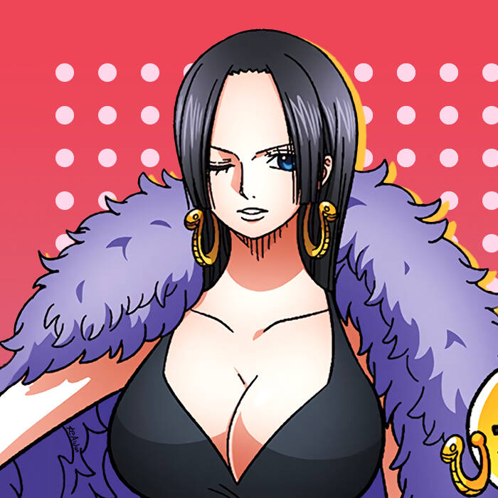 海贼王丶娜美丶女帝丶罗宾