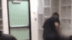 669_434gif 动态图 动图