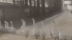 335_246gif 动态图 动图
