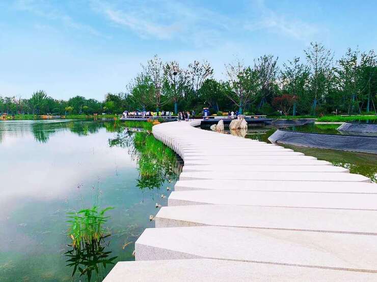 万木葱荣,花香四溢,如此烂漫美好,夏荫浓郁的时节,丰收湖公园开园迎客