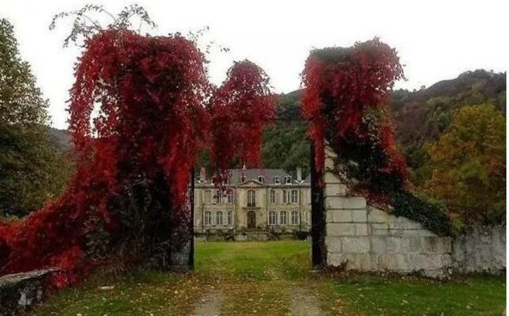 夫妇装修荒废古堡发现暗道 里面的物品价值连