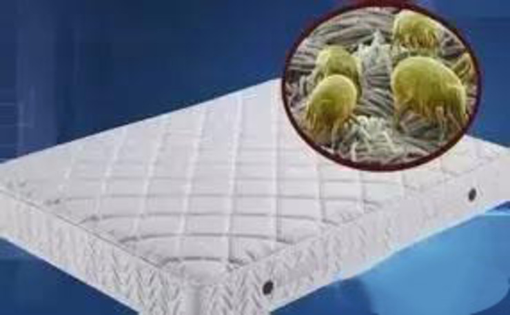 看似普通的床垫螨虫繁殖可是最为严重的,即使是看起来很干净,一张3年