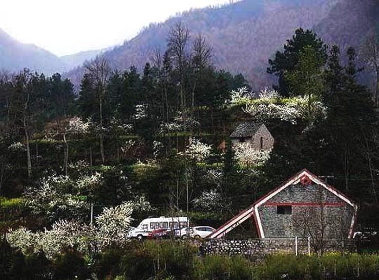 雅布依村有多少人口_达里雅布依民俗村