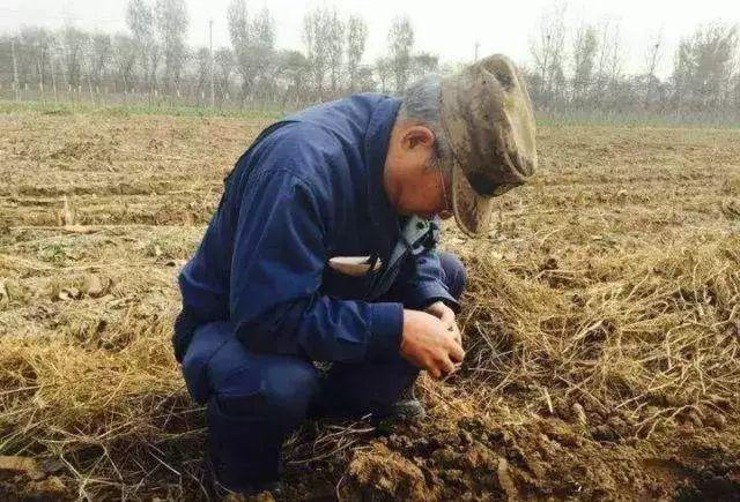 土壤对人口_土壤卡通图片(3)