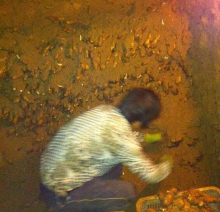 村里的山上惊现无数神秘洞穴 村民居然靠它们发财了 - 子泳 - 子泳WZ的博客 村里的山上惊现无数神秘洞穴 村民居然靠它们发财了 - 子泳 - 子泳WZ的博客