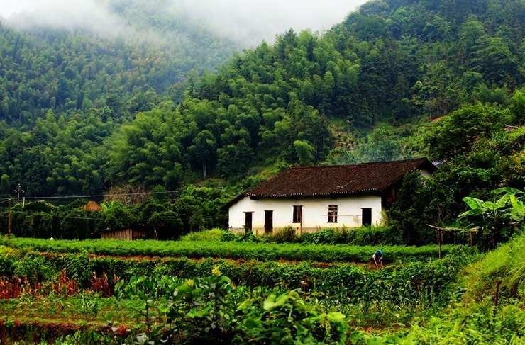 八旬夫妻与世隔绝60载 吃糠咽菜房子千金也不卖